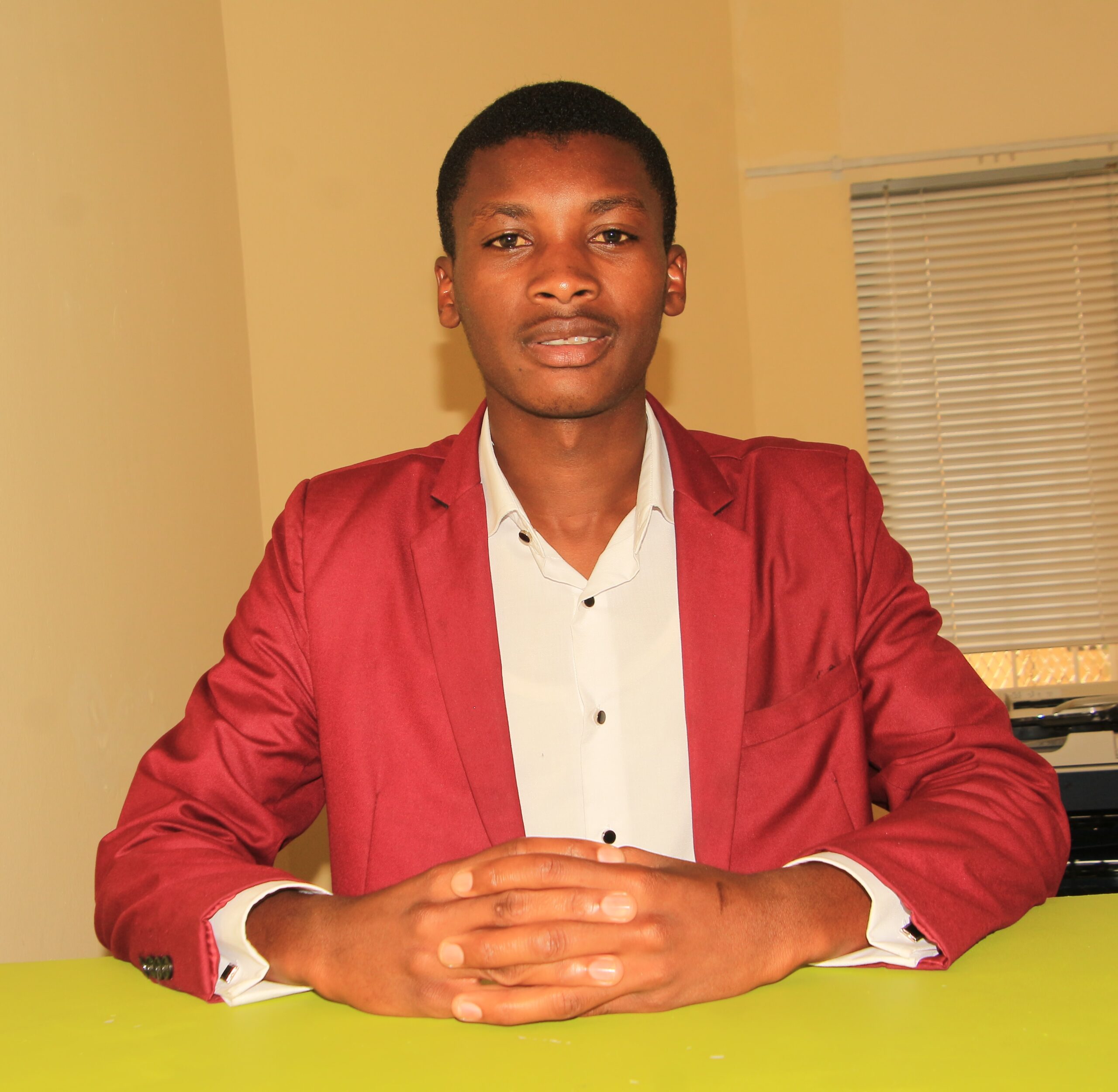 About namibia institute of professional innovation